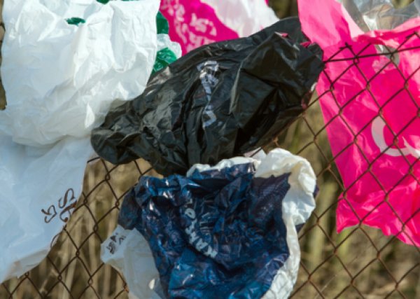 Kommt nicht in die Tüte – Alternativen zu Plastik