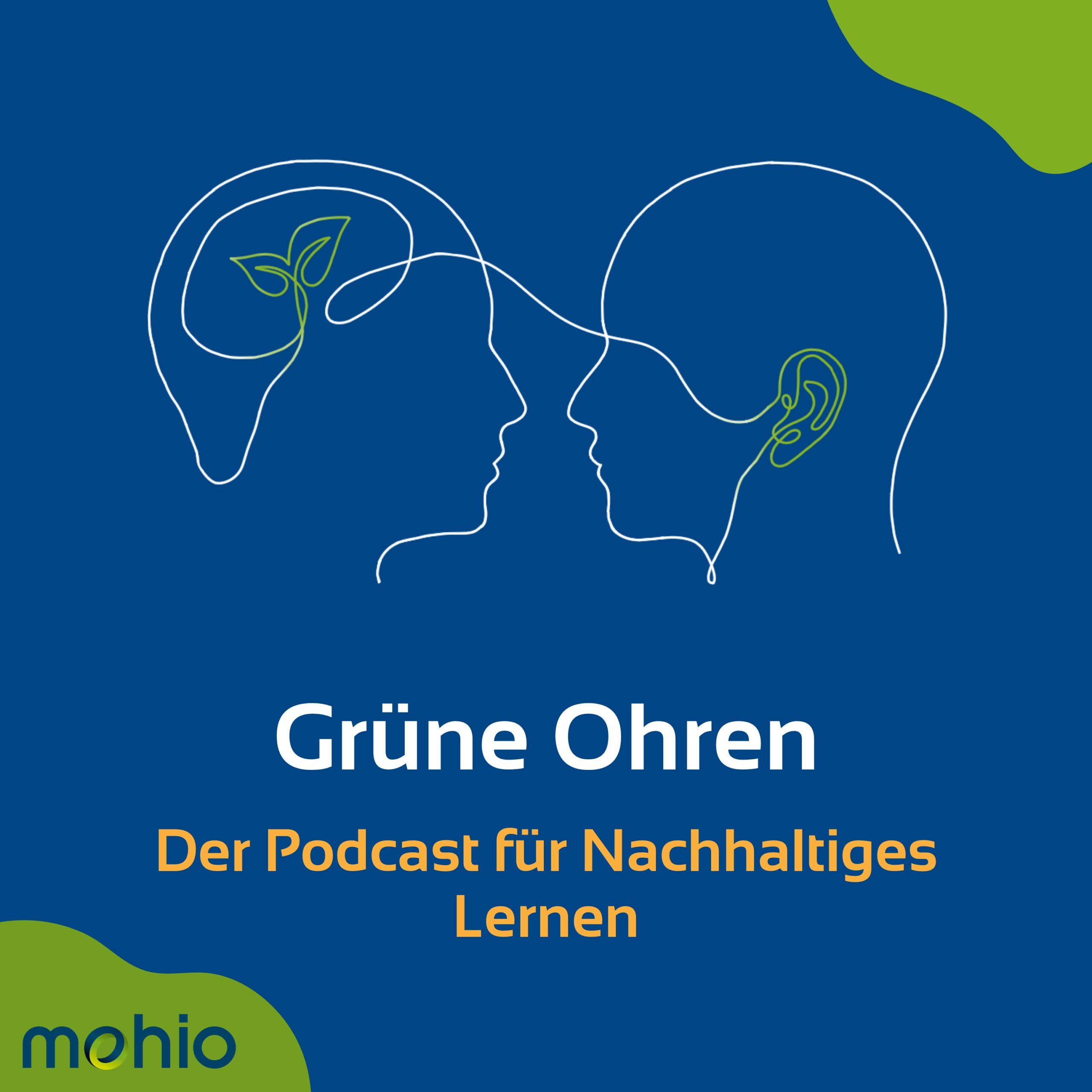 Stimmen aus der Praxis: Grüne Ohren – Der Podcast für Nachhaltiges Lernen